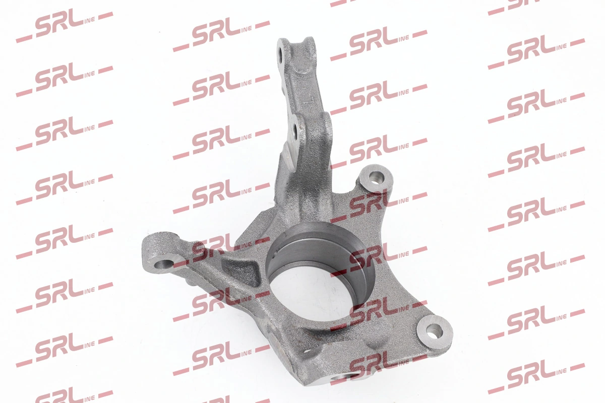 Steering Knuckle, wheel suspension ZW-DA002L