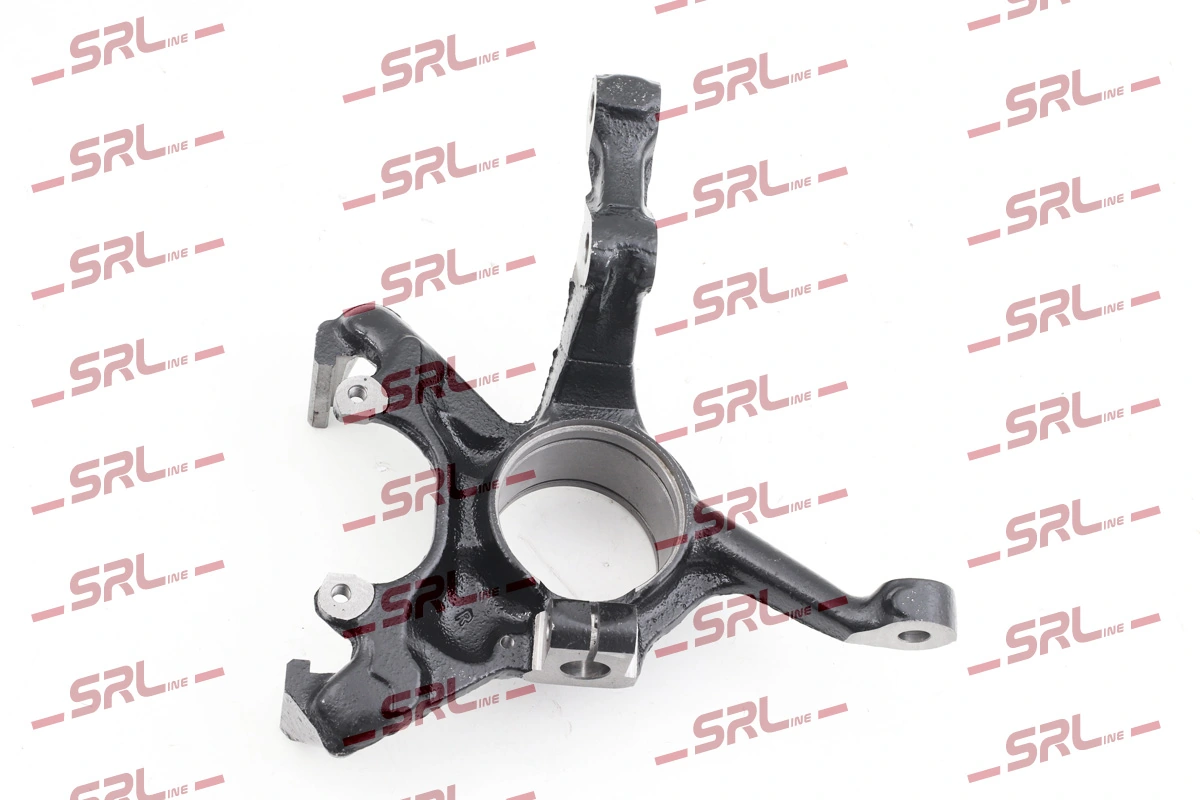 Steering Knuckle, wheel suspension ZW-V003P