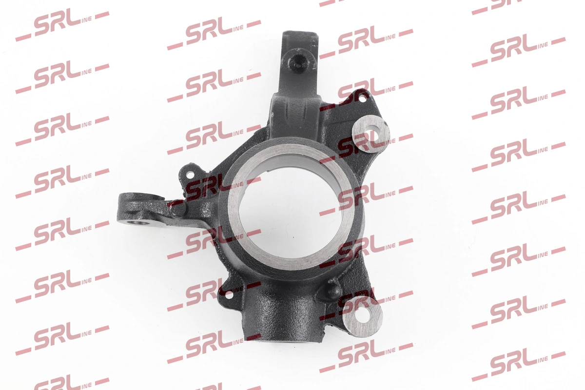 Steering Knuckle, wheel suspension ZW-R009P