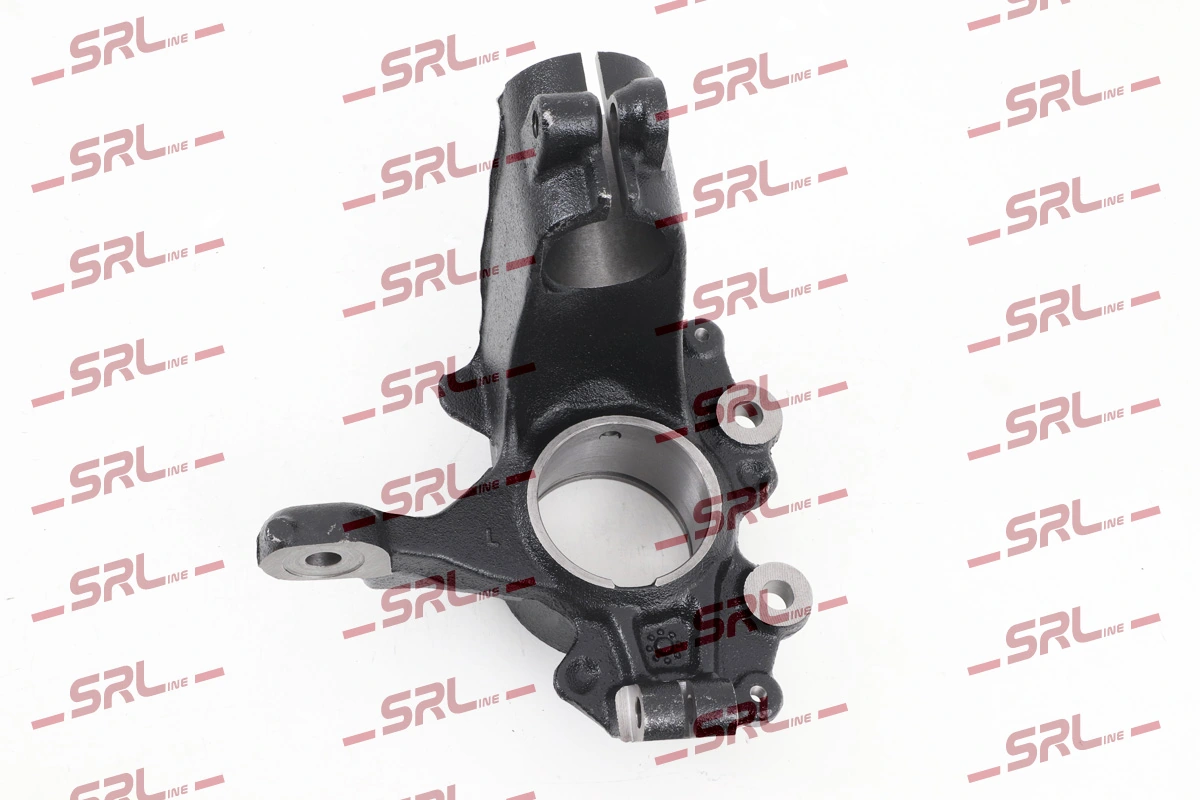 Steering Knuckle, wheel suspension ZW-FO006L