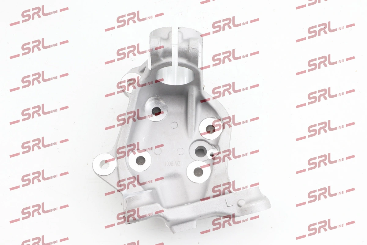 Steering Knuckle, wheel suspension ZW-B001L