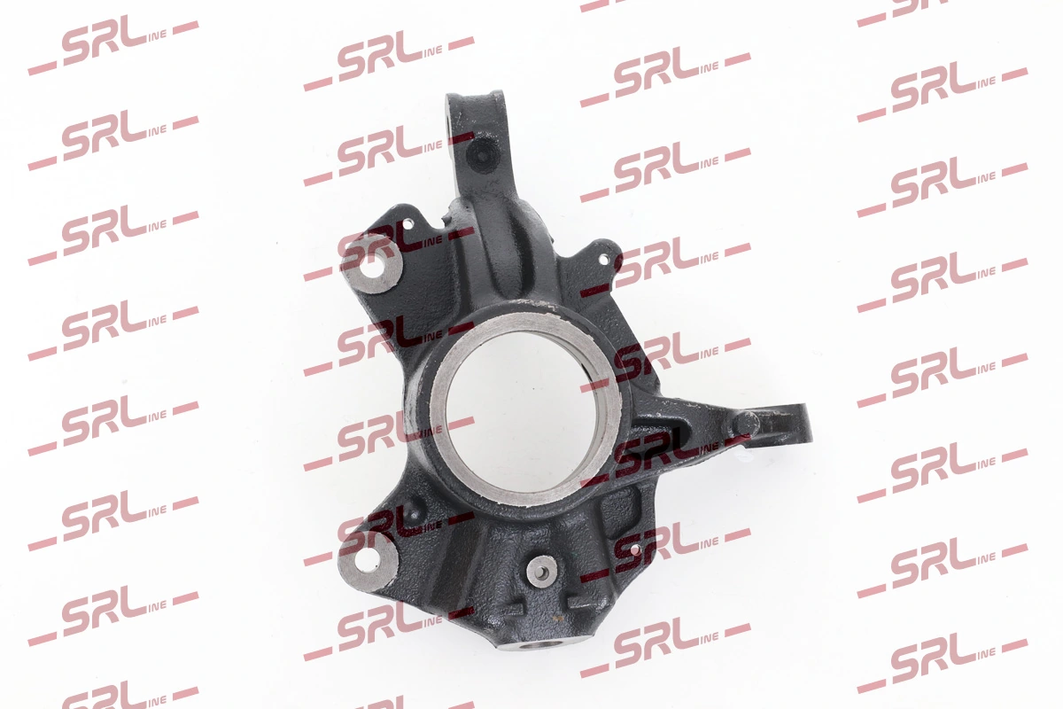 Steering Knuckle, wheel suspension ZW-R005L