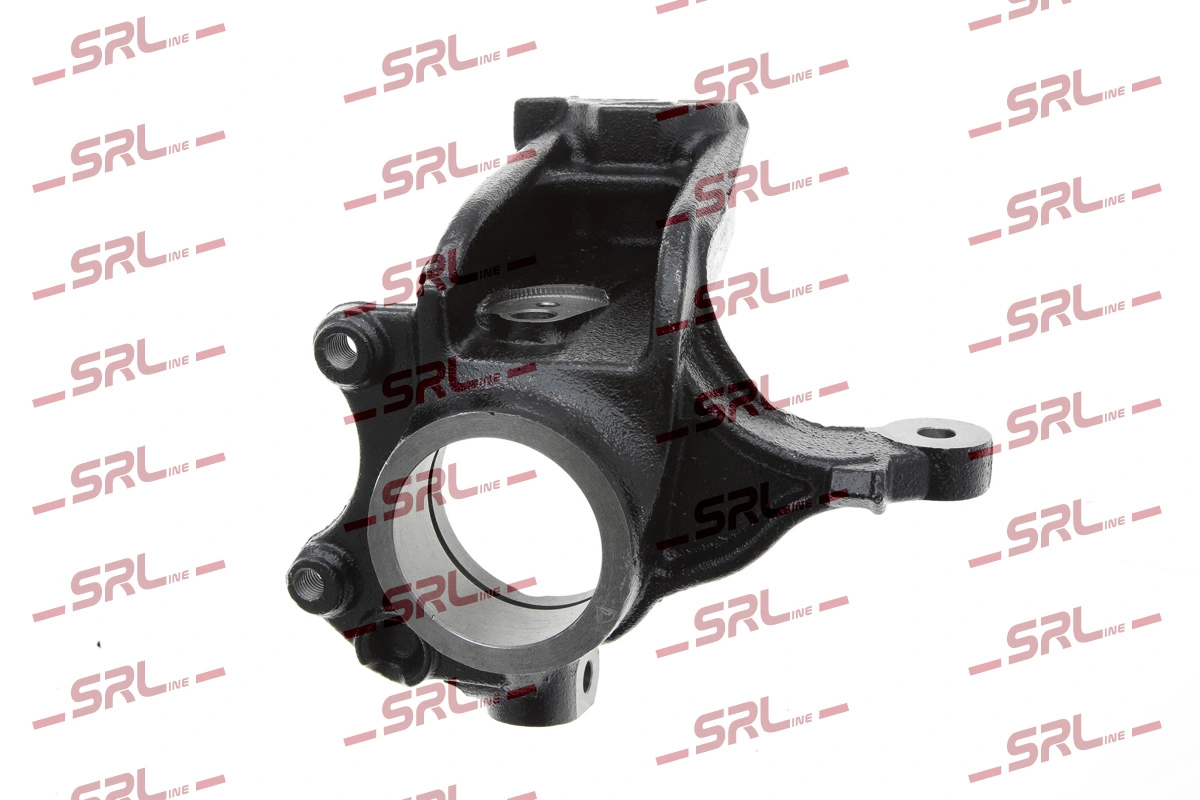 Steering Knuckle, wheel suspension ZW-PE005L