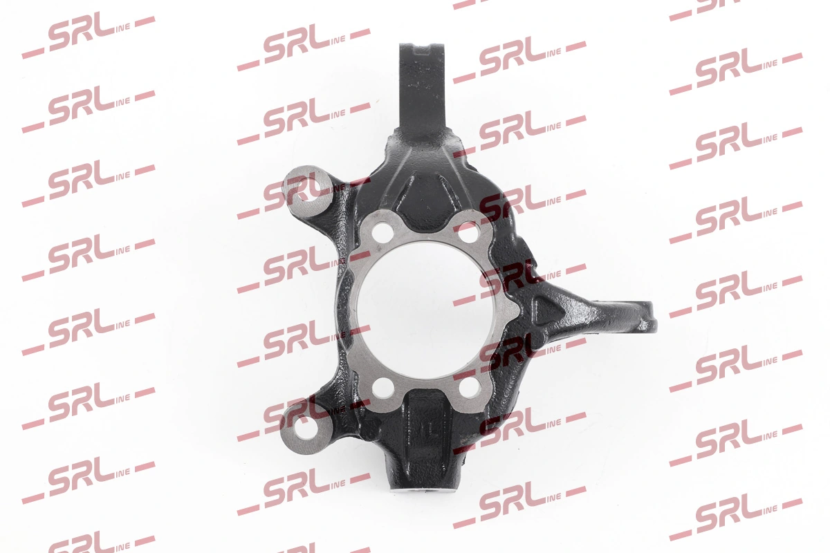 Steering Knuckle, wheel suspension ZW-N006L