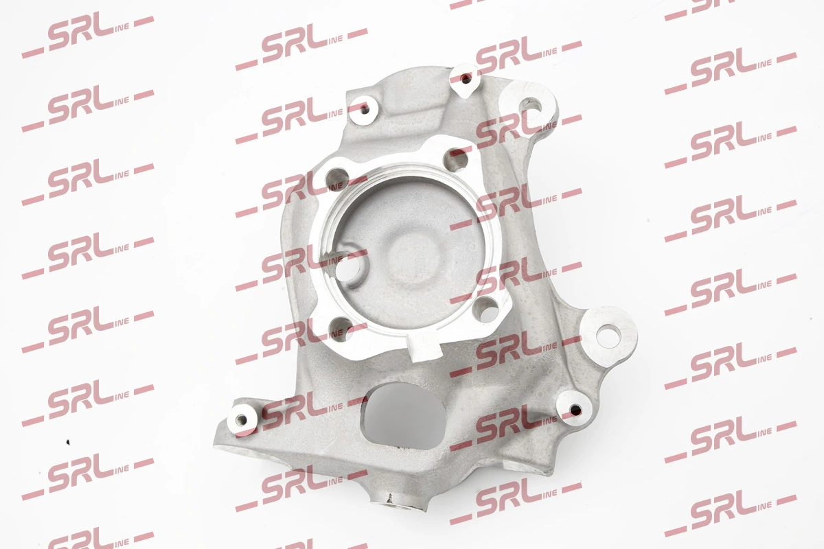 Steering Knuckle, wheel suspension ZW-B005L