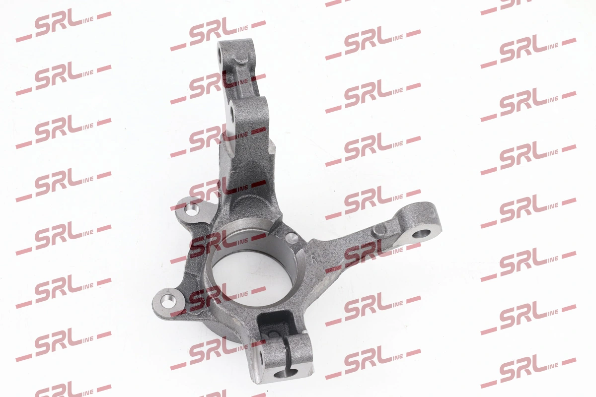 Steering Knuckle, wheel suspension ZW-DA001P