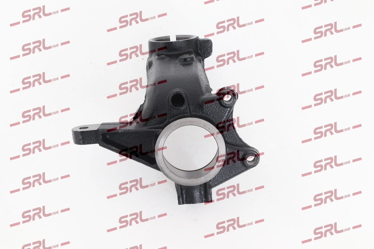 Steering Knuckle, wheel suspension ZW-PE003P