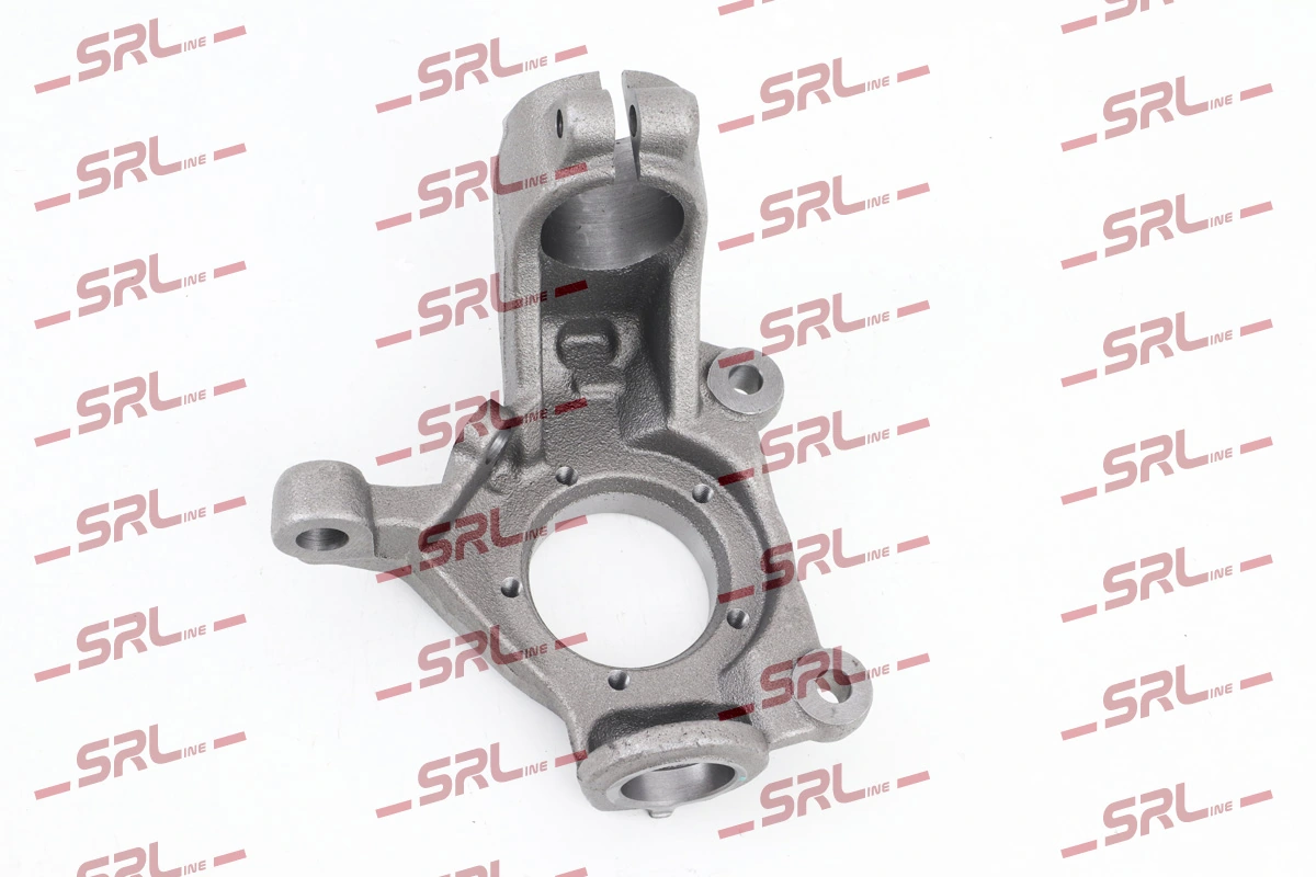 Steering Knuckle, wheel suspension ZW-FO008L