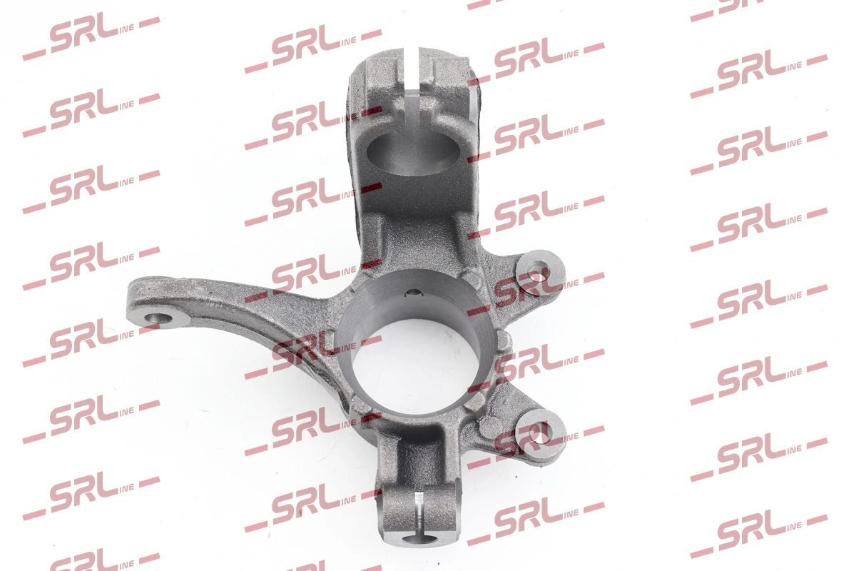 Steering Knuckle, wheel suspension ZW-FO011L