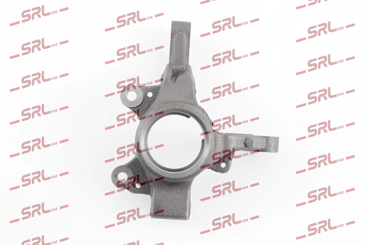 Steering Knuckle, wheel suspension ZW-R002L