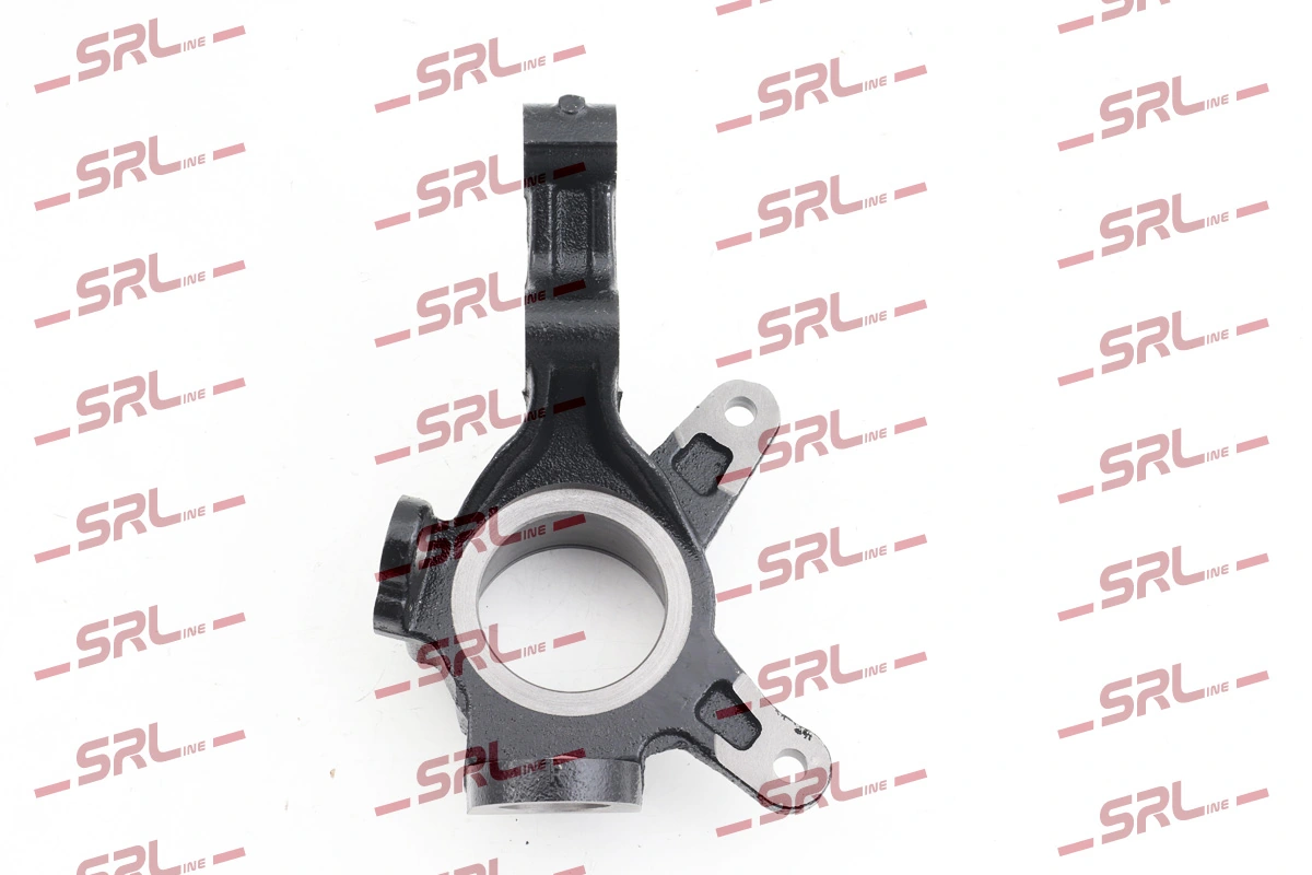 Steering Knuckle, wheel suspension ZW-H003P