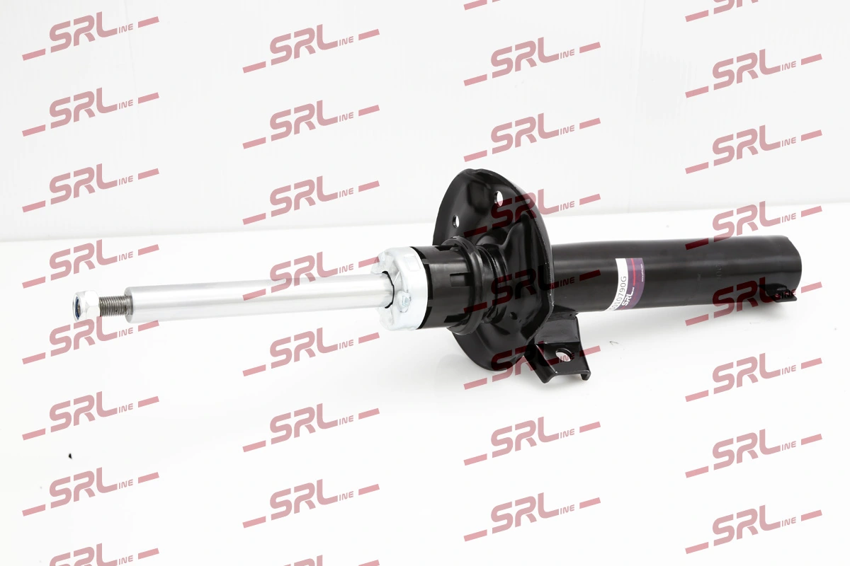 Shock Absorber S010790G