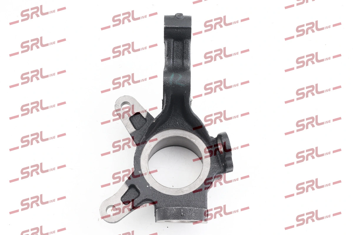 Steering Knuckle, wheel suspension ZW-H003L