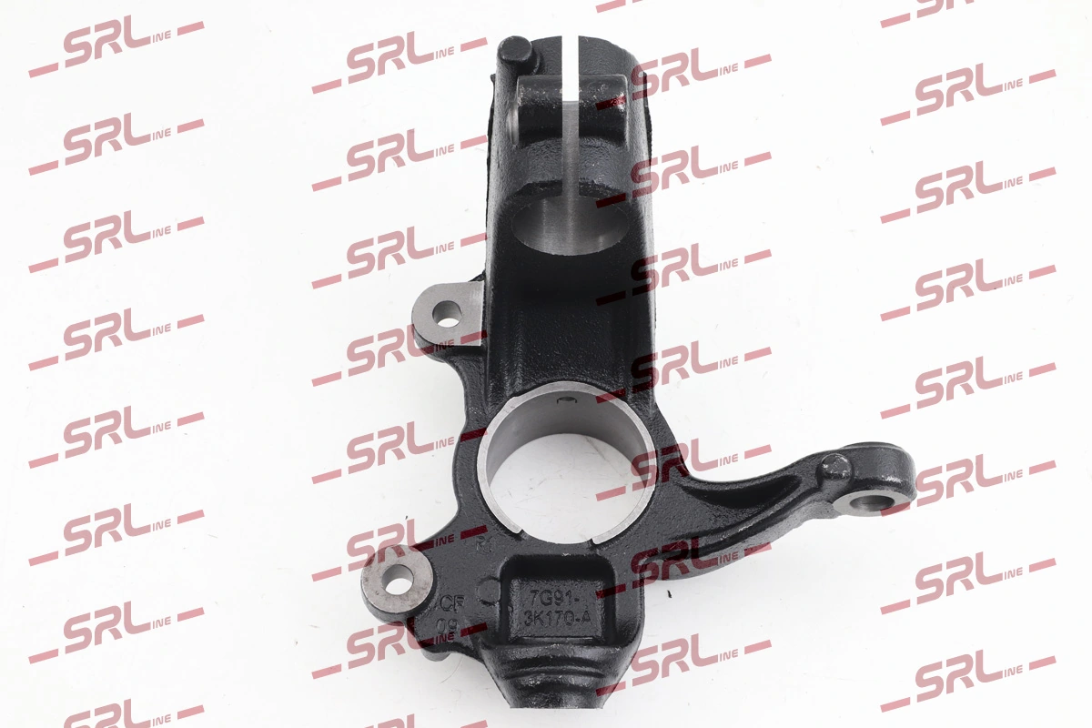 Steering Knuckle, wheel suspension ZW-FO003P