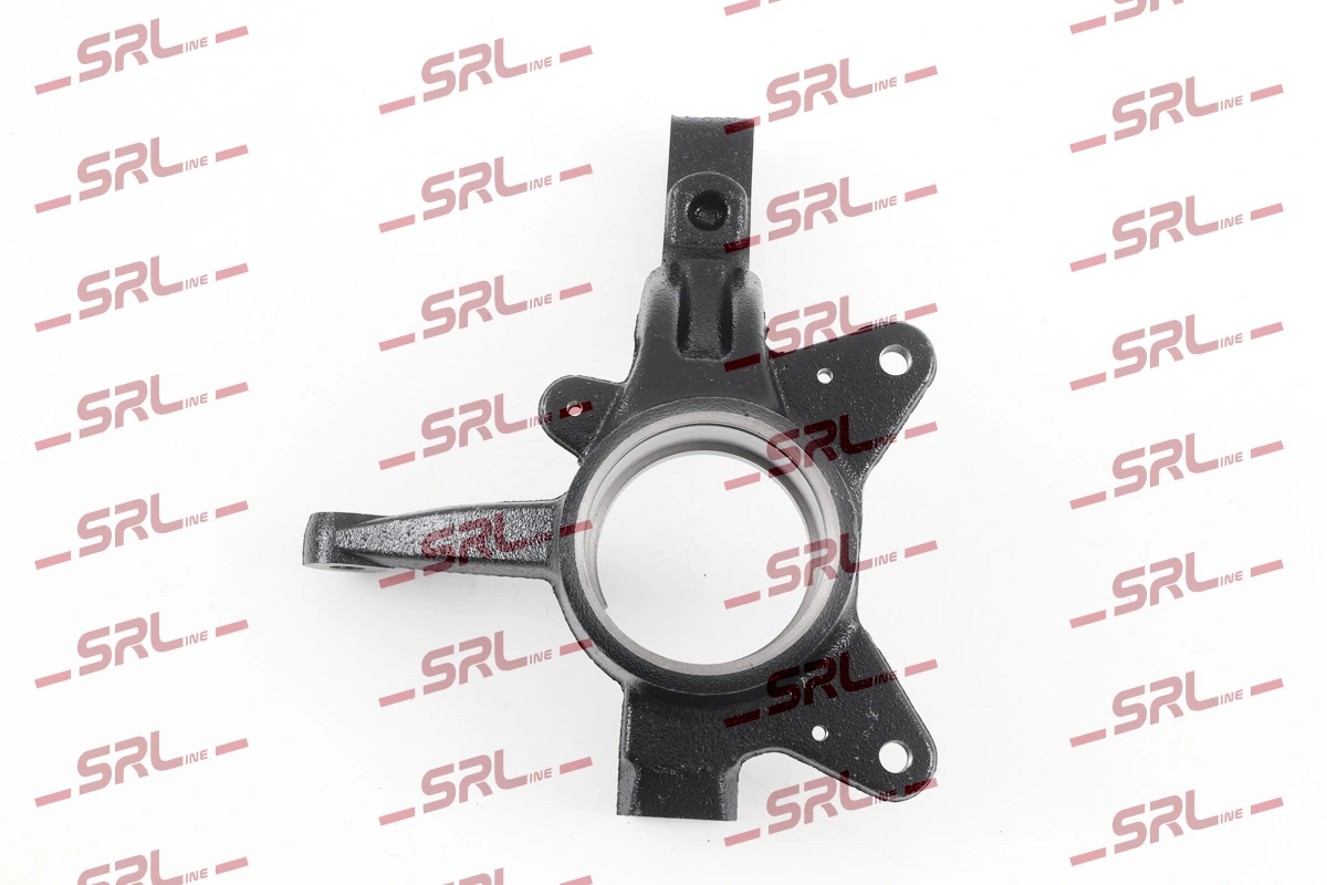 Steering Knuckle, wheel suspension ZW-R001P