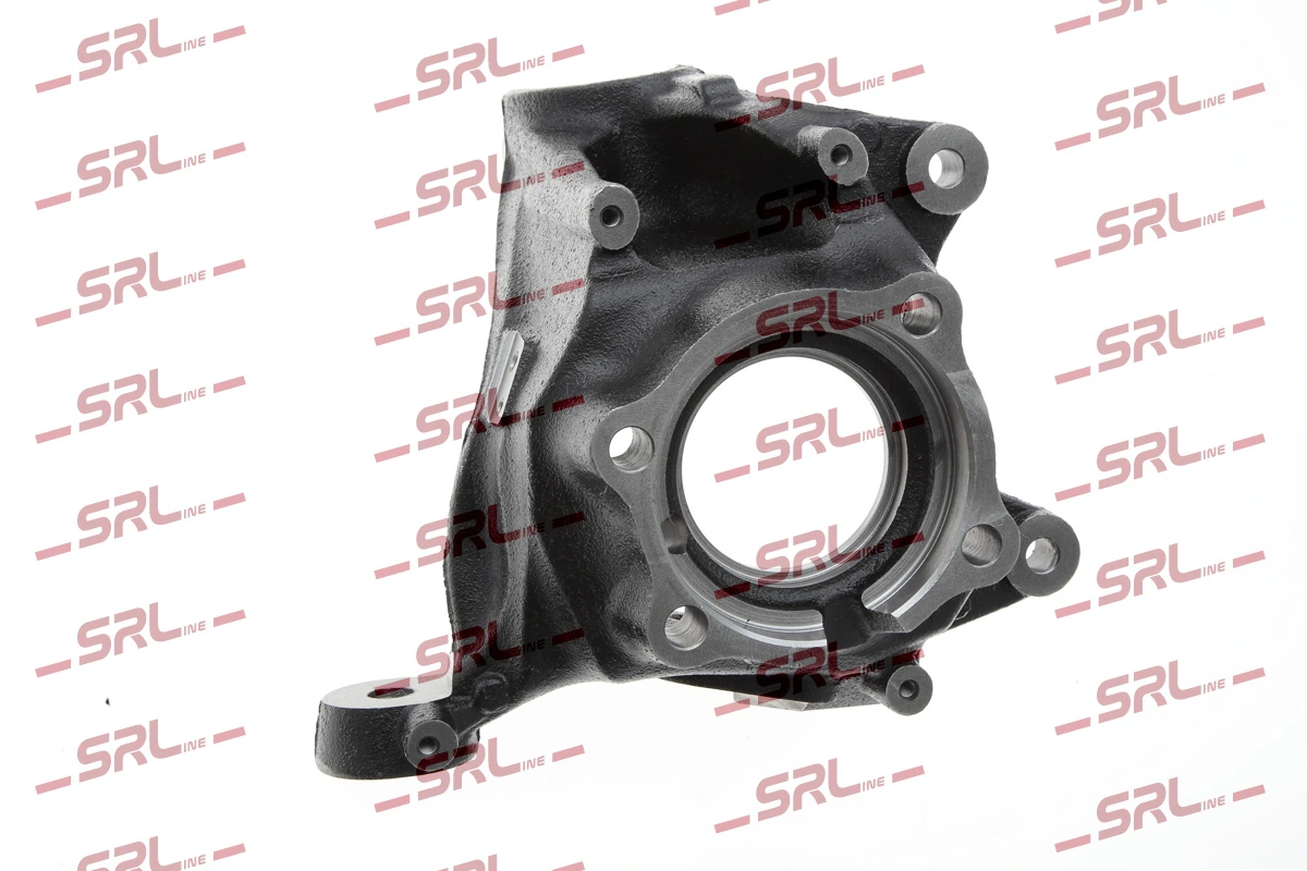Steering Knuckle, wheel suspension ZW-B008L