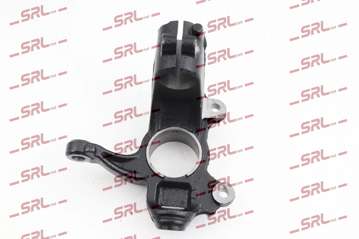 Steering Knuckle, wheel suspension ZW-FO003L