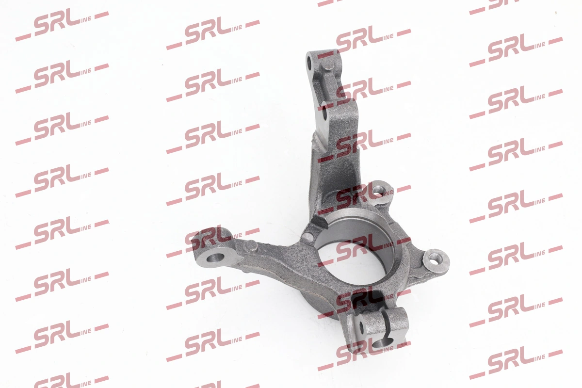 Steering Knuckle, wheel suspension ZW-DA001L