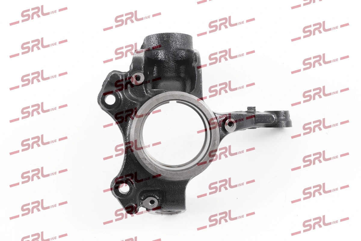 Steering Knuckle, wheel suspension ZW-A013L