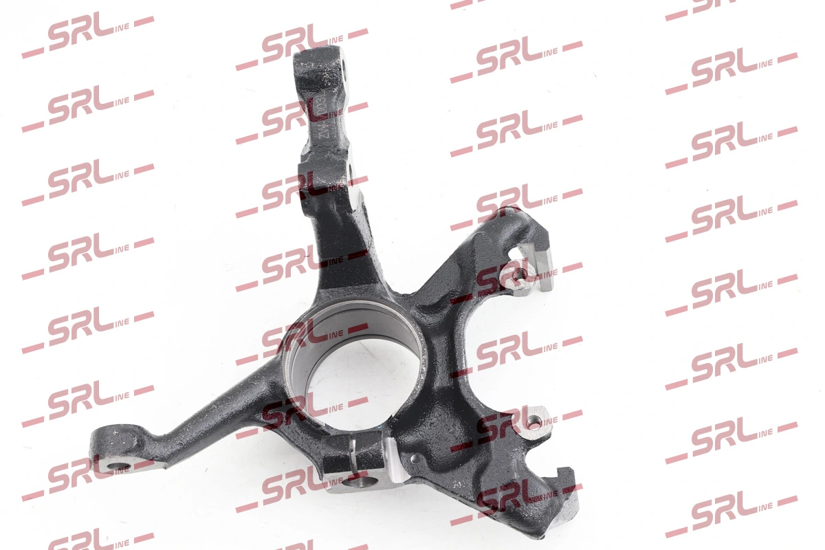 Steering Knuckle, wheel suspension ZW-V003L