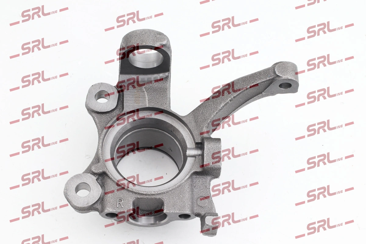 Steering Knuckle, wheel suspension ZW-V008P