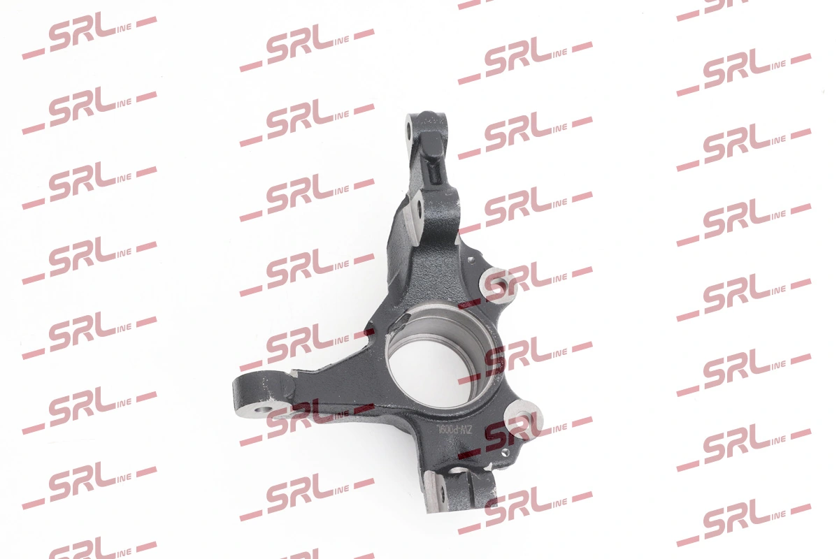 Steering Knuckle, wheel suspension ZW-P009L