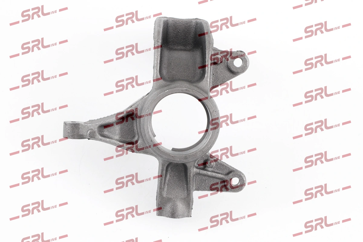Steering Knuckle, wheel suspension ZW-R008P