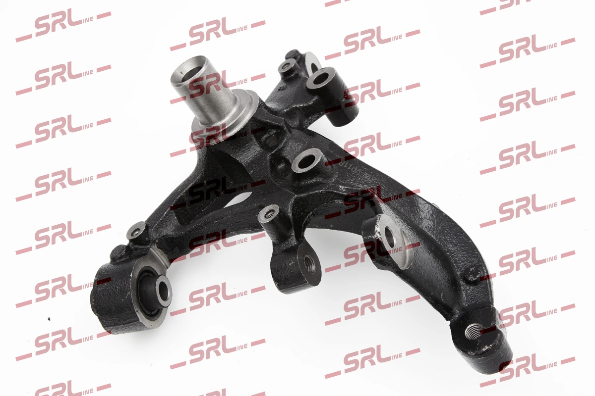 Steering Knuckle, wheel suspension ZW-V011P