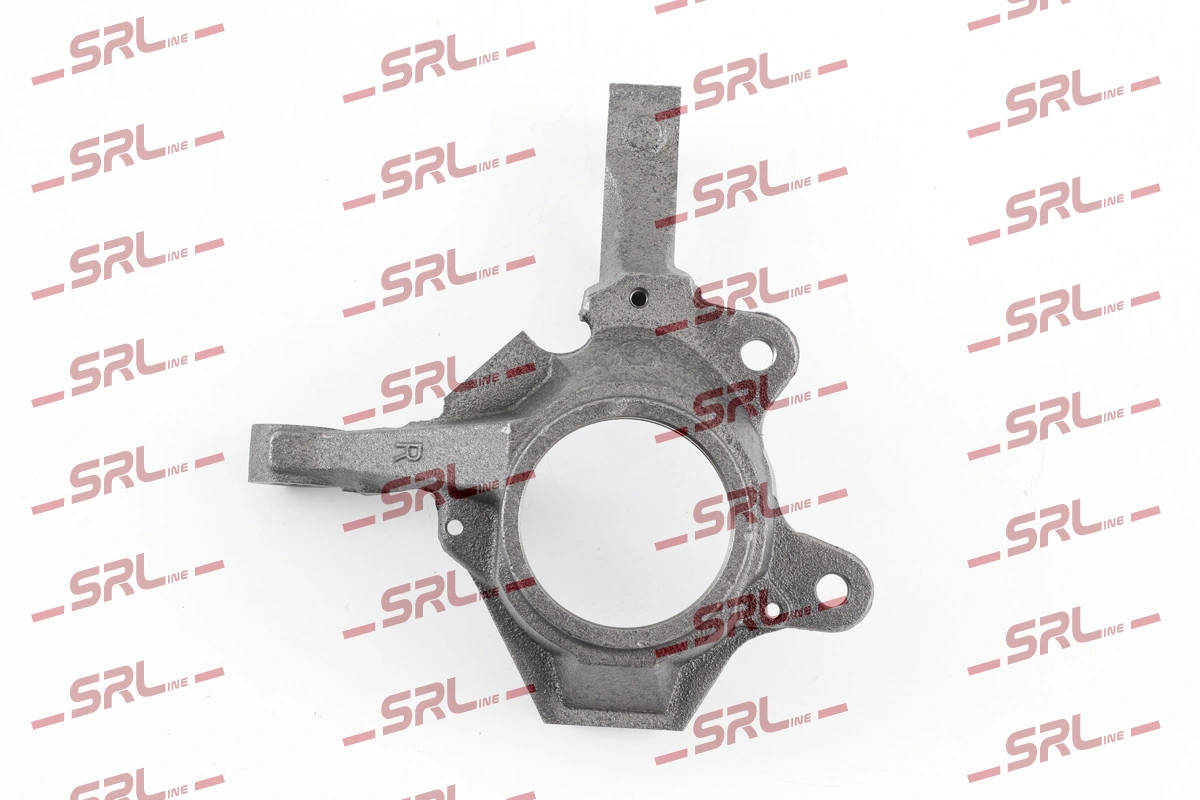 Steering Knuckle, wheel suspension ZW-R006P