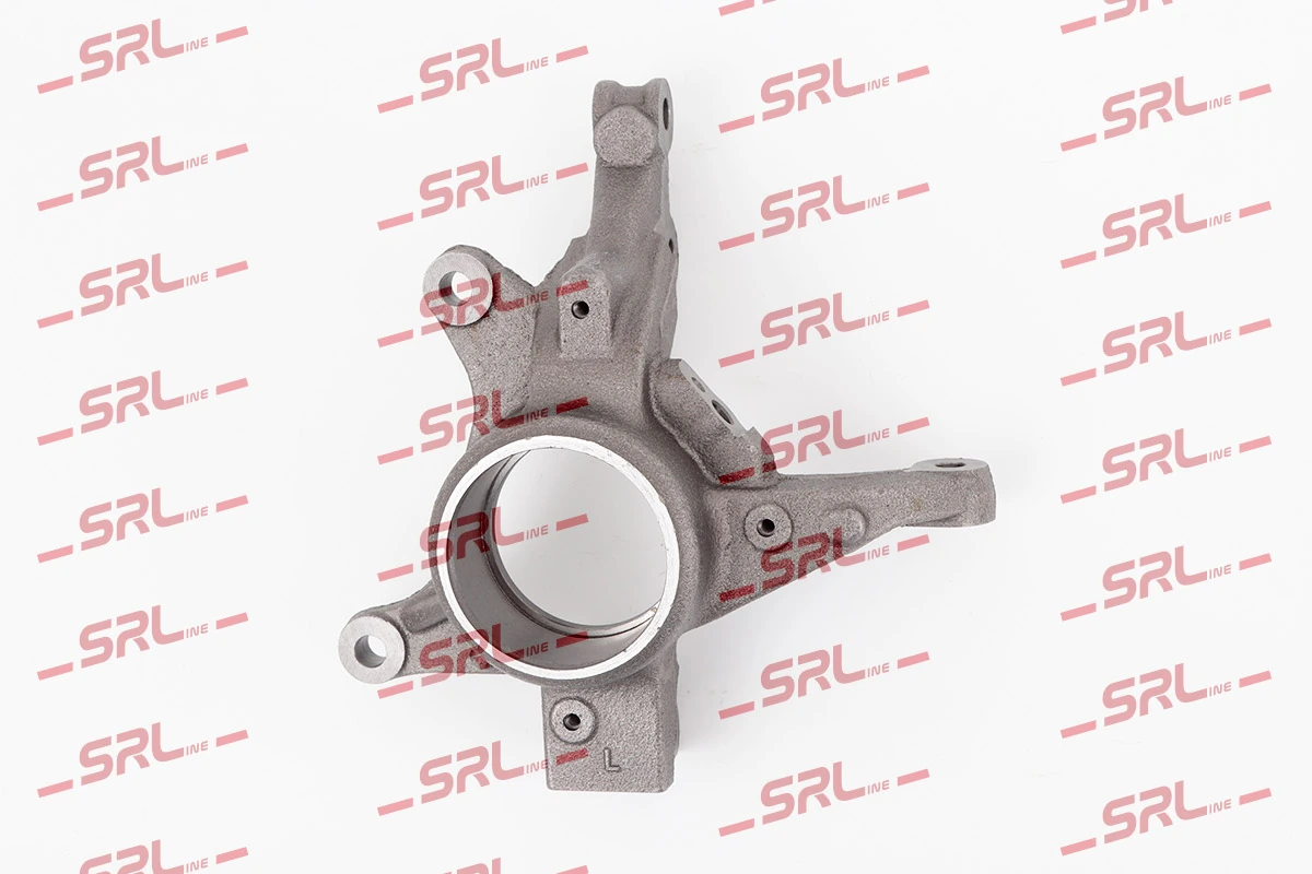 Steering Knuckle, wheel suspension ZW-DA004L