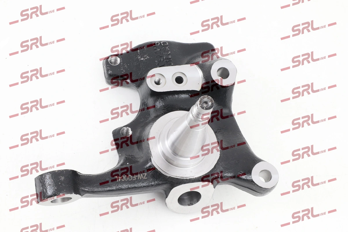 Steering Knuckle, wheel suspension ZW-FO004L