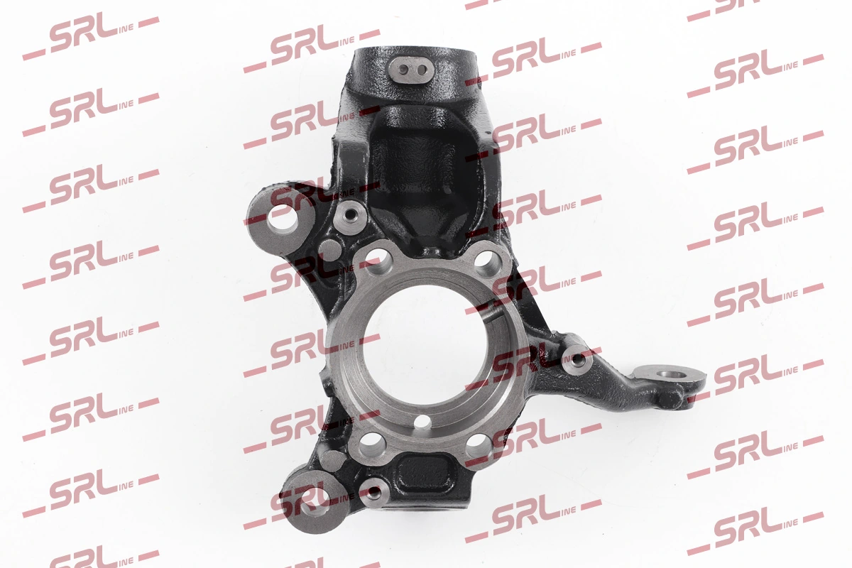 Steering Knuckle, wheel suspension ZW-V010L