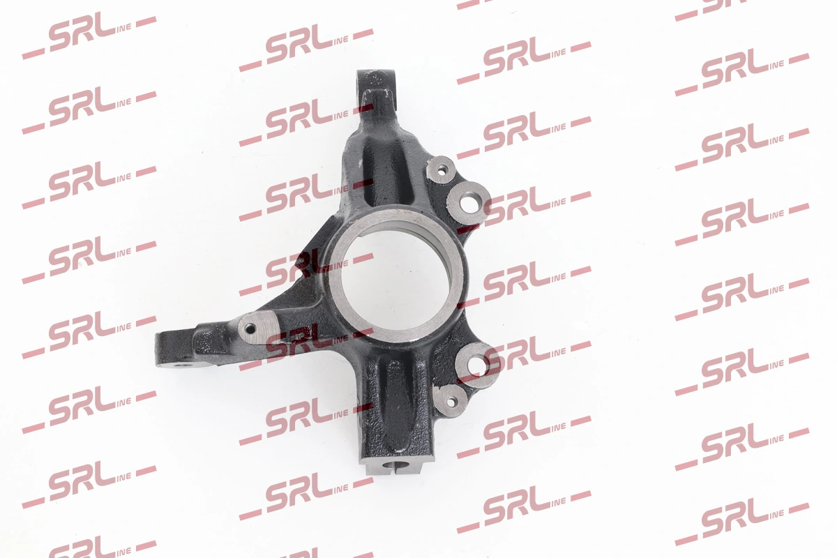 Steering Knuckle, wheel suspension ZW-P012P