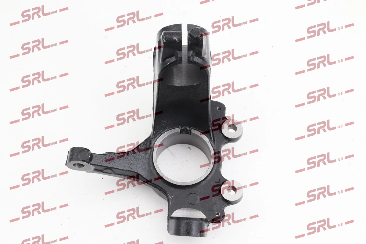 Steering Knuckle, wheel suspension ZW-FO001L