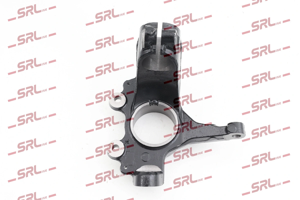 Steering Knuckle, wheel suspension ZW-FO001P