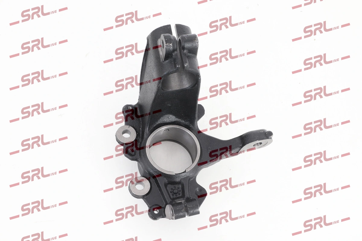 Steering Knuckle, wheel suspension ZW-FO006P