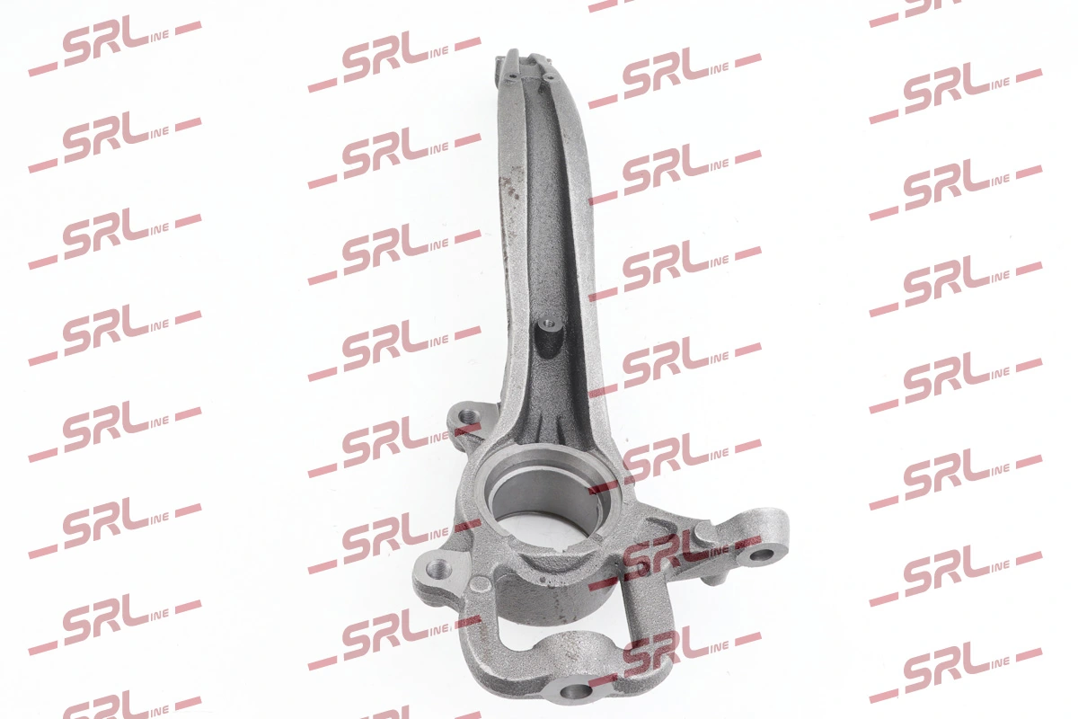Steering Knuckle, wheel suspension ZW-V009P