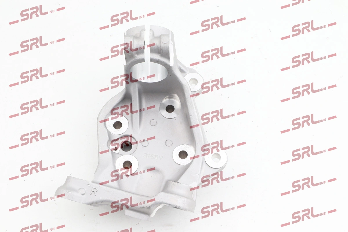 Steering Knuckle, wheel suspension ZW-B001P