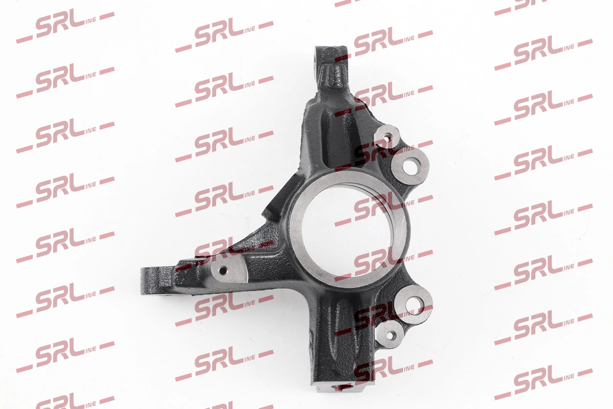 Steering Knuckle, wheel suspension ZW-P009P