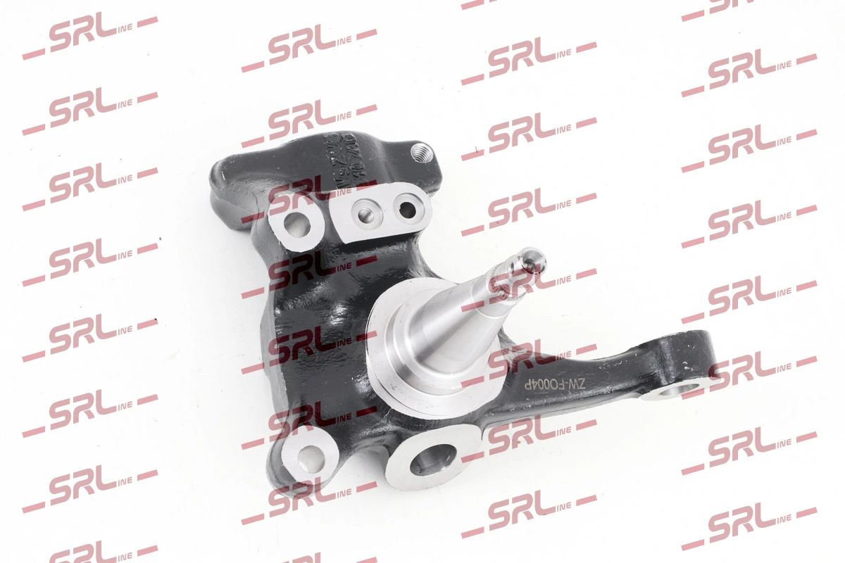 Steering Knuckle, wheel suspension ZW-FO004P