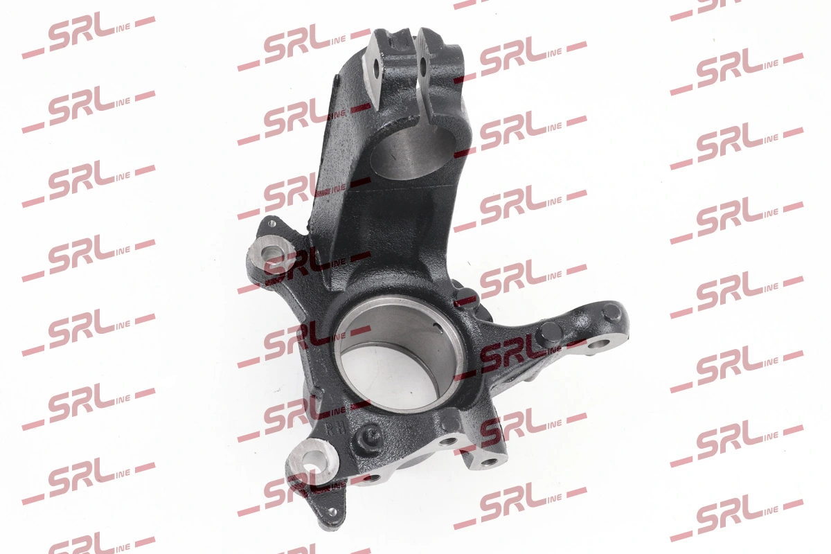 Steering Knuckle, wheel suspension ZW-F001P