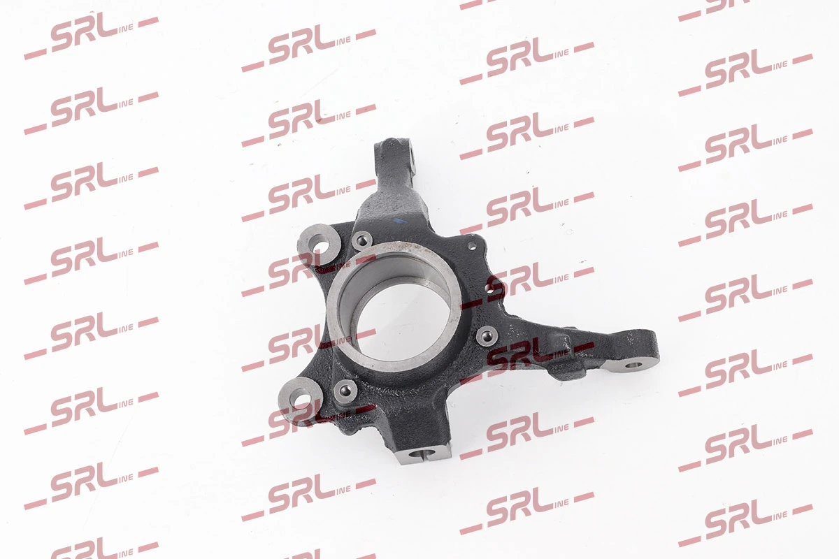 Steering Knuckle, wheel suspension ZW-P003L