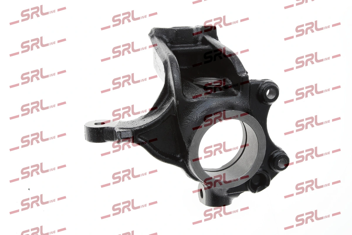 Steering Knuckle, wheel suspension ZW-PE005P