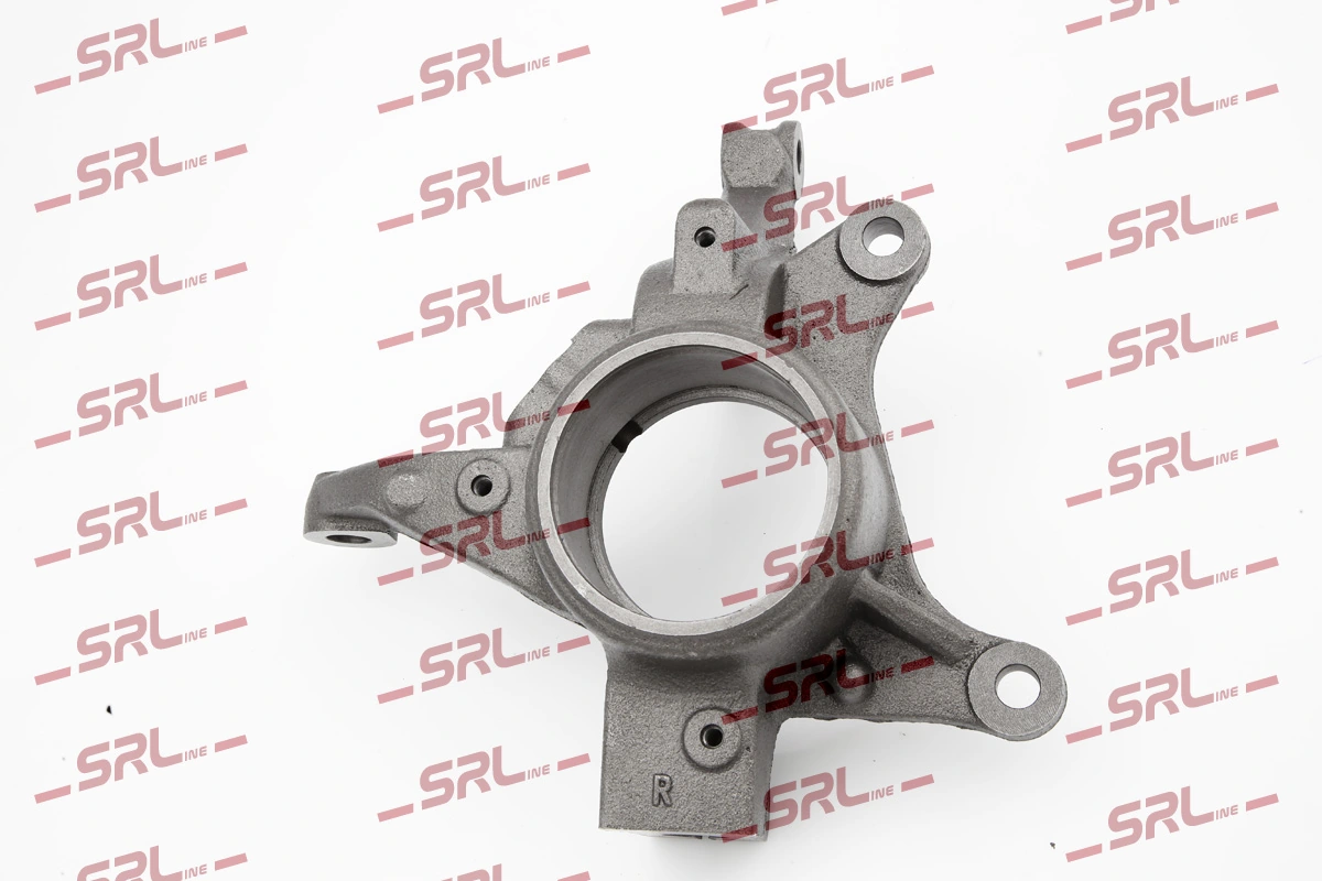 Steering Knuckle, wheel suspension ZW-DA004P