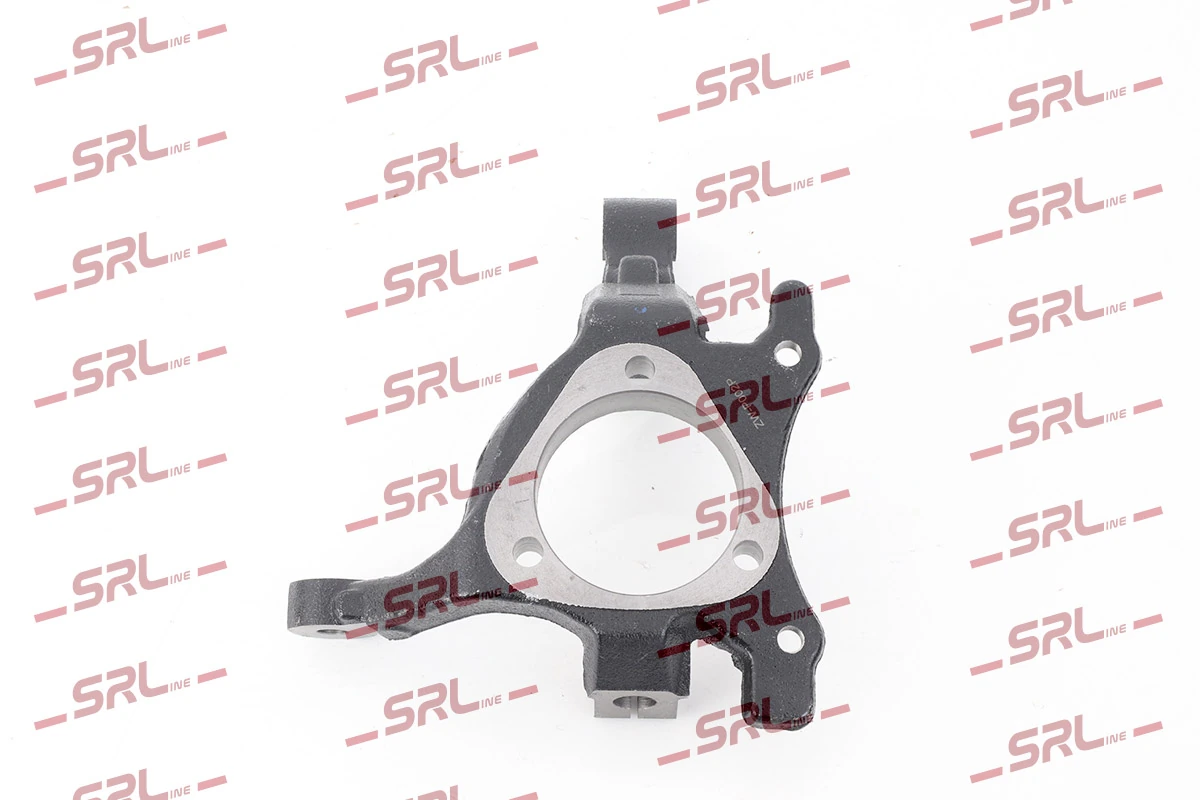 Steering Knuckle, wheel suspension ZW-P002P