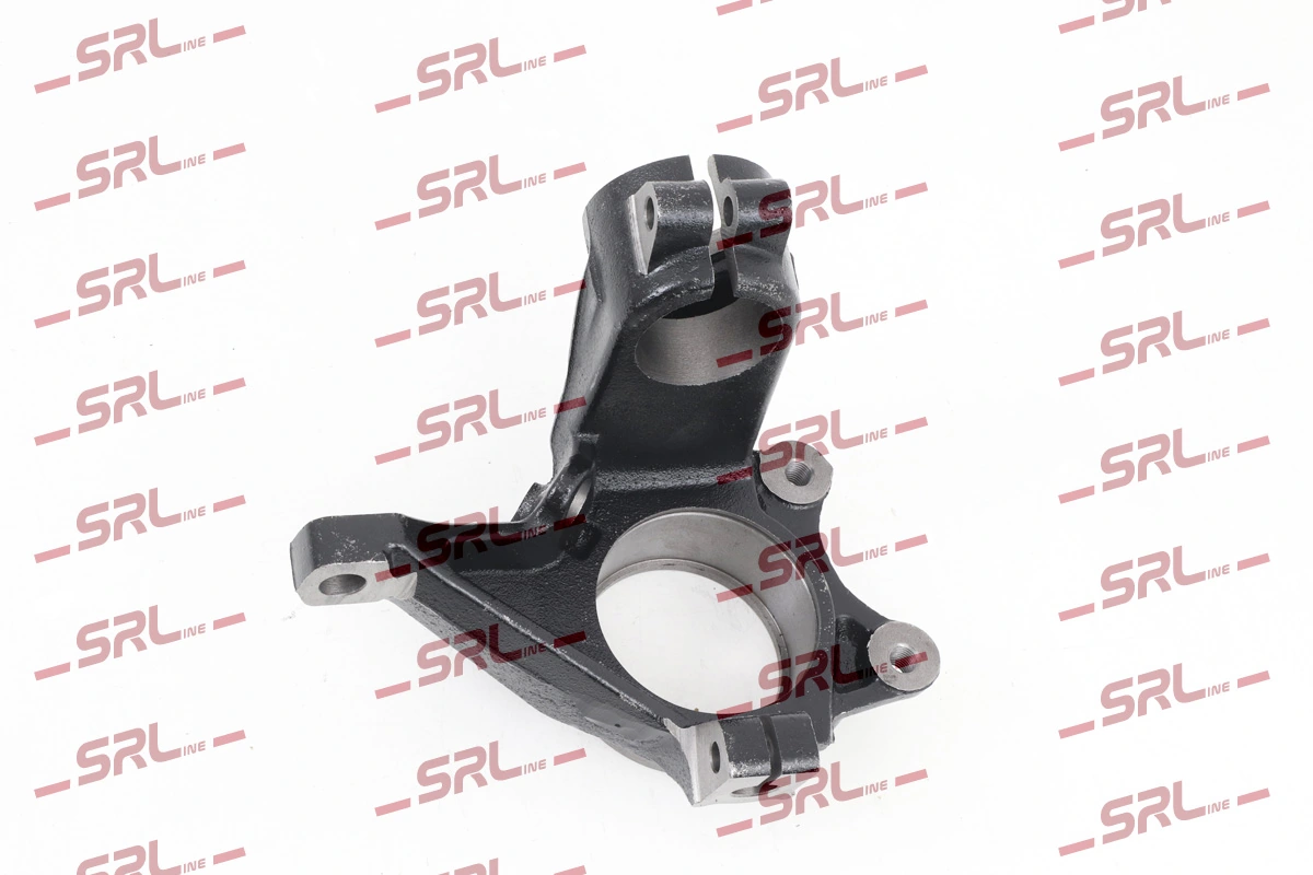 Steering Knuckle, wheel suspension ZW-PE004L