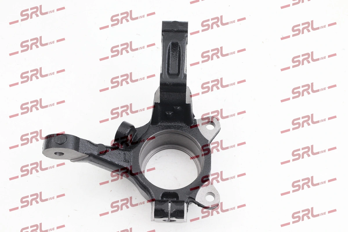 Steering Knuckle, wheel suspension ZW-F004L