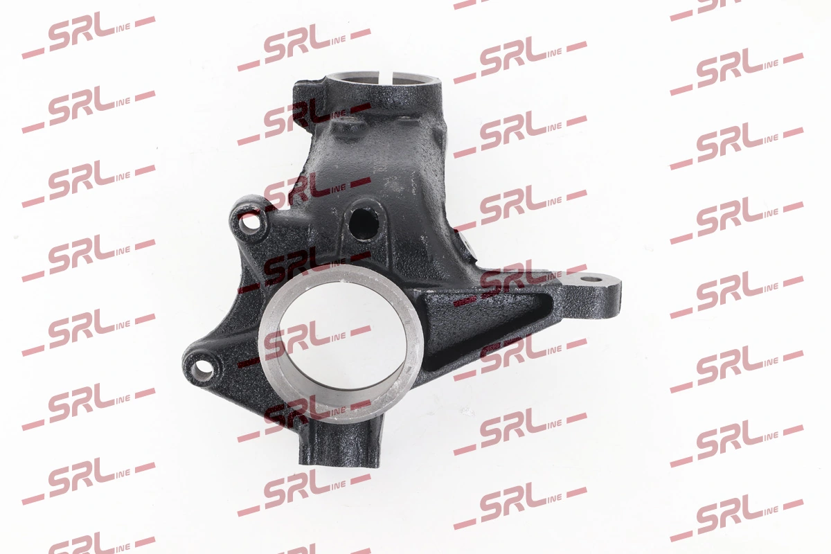 Steering Knuckle, wheel suspension ZW-PE003L