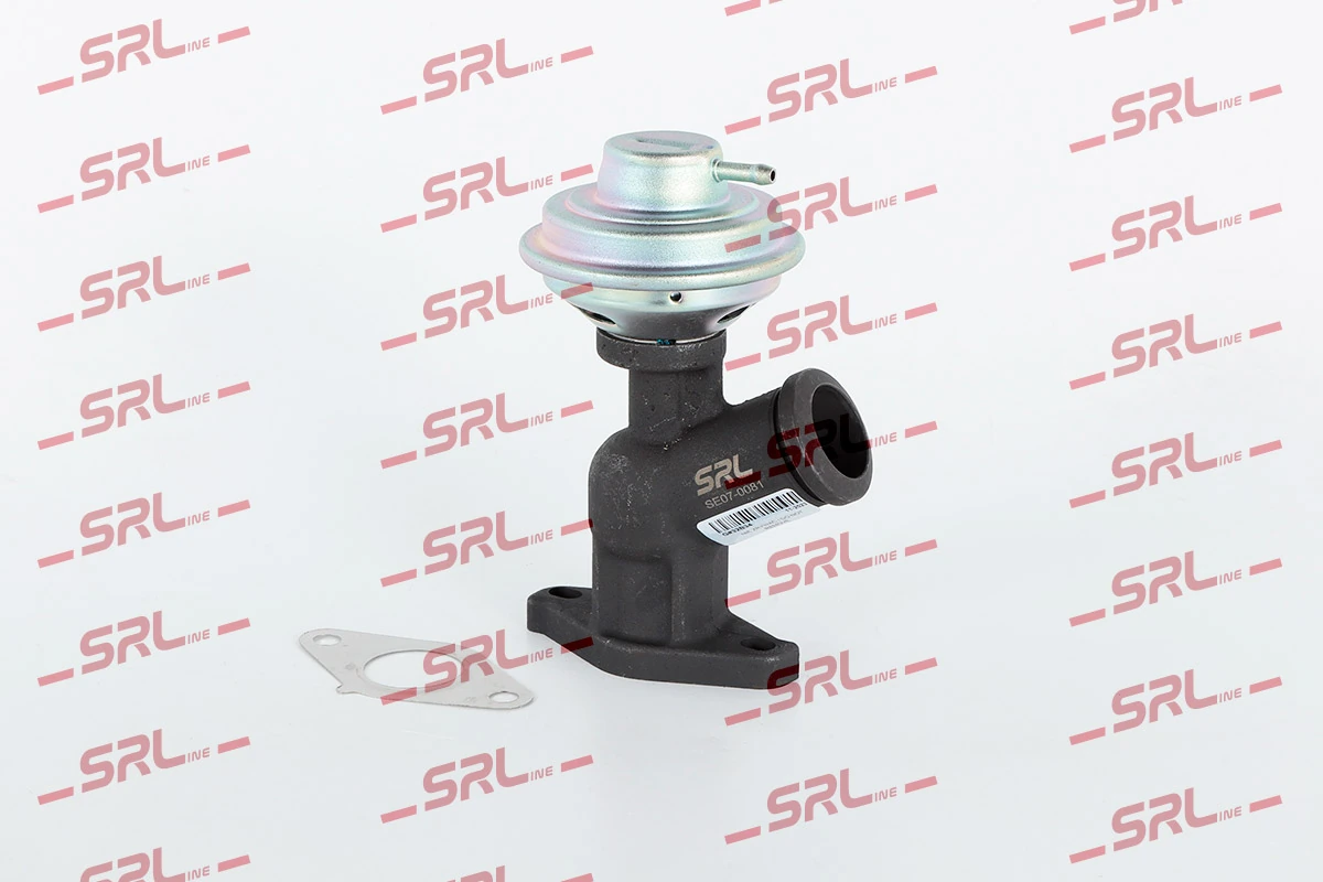 EGR Valve SE07-0081