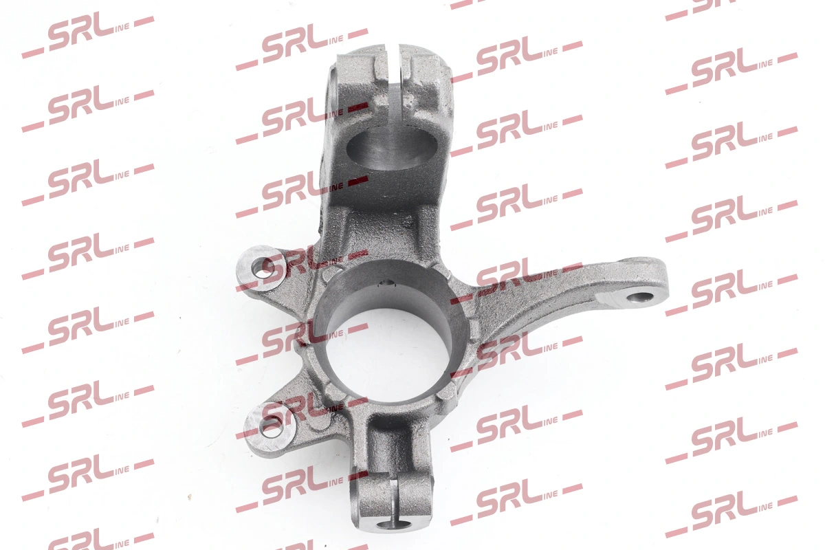 Steering Knuckle, wheel suspension ZW-FO011P